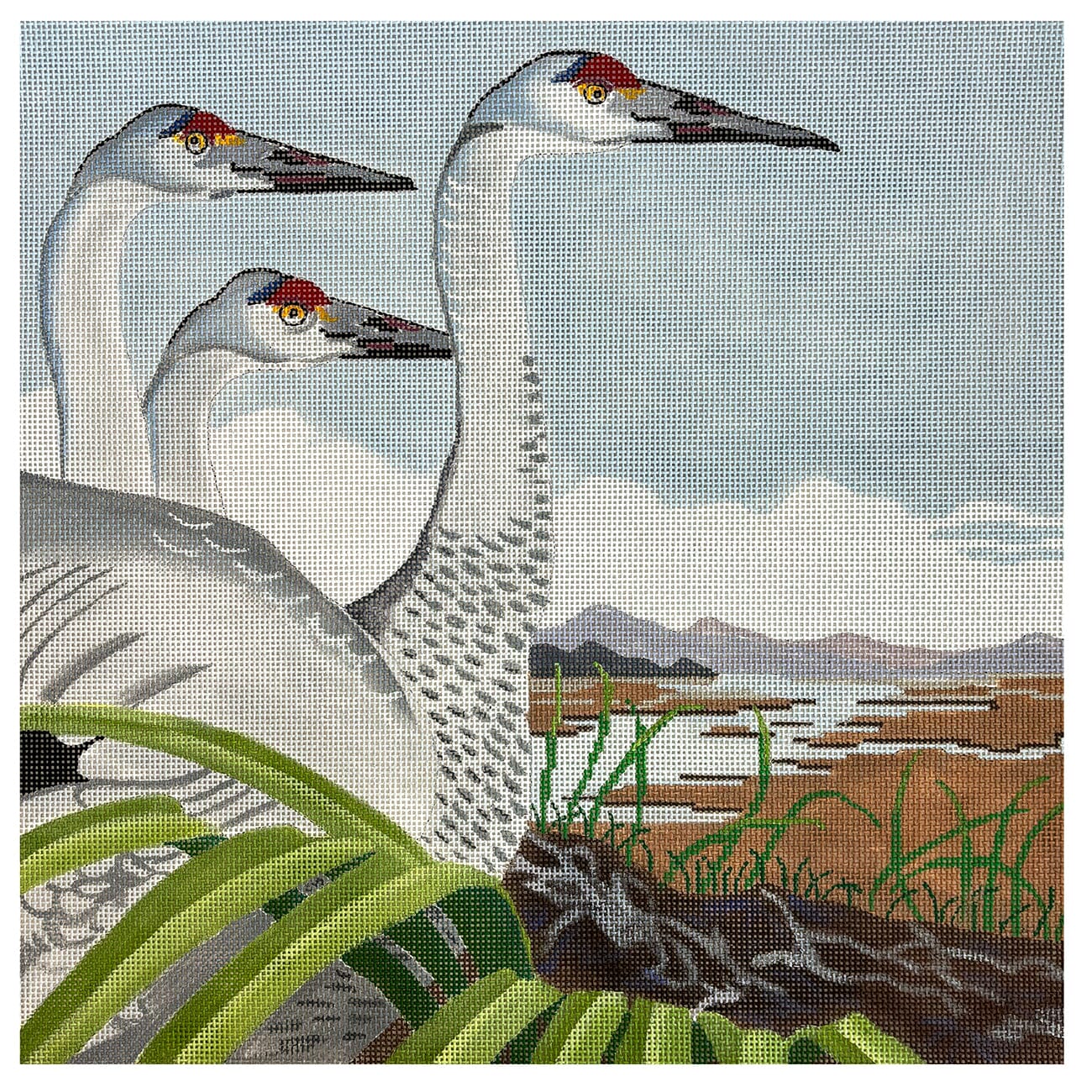 3 Japanese Cranes in Wetland Painted Canvas Shorebird Studio - 1