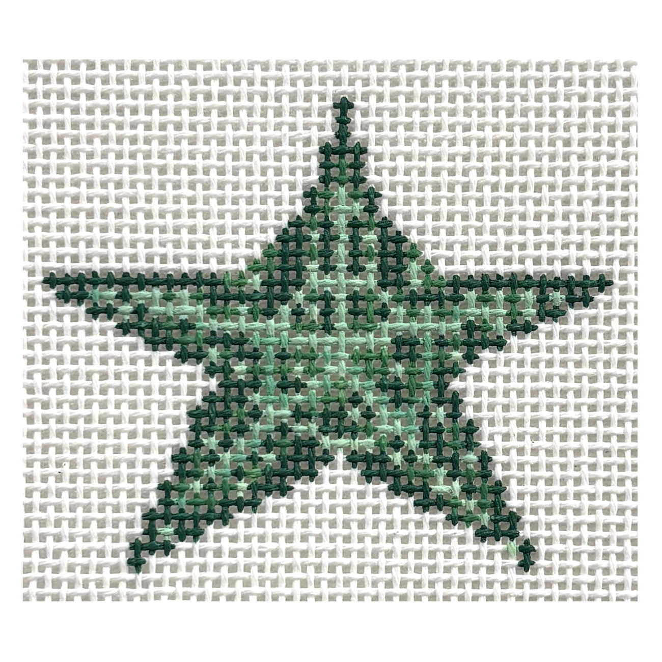 Tiny Green Starfish - 1