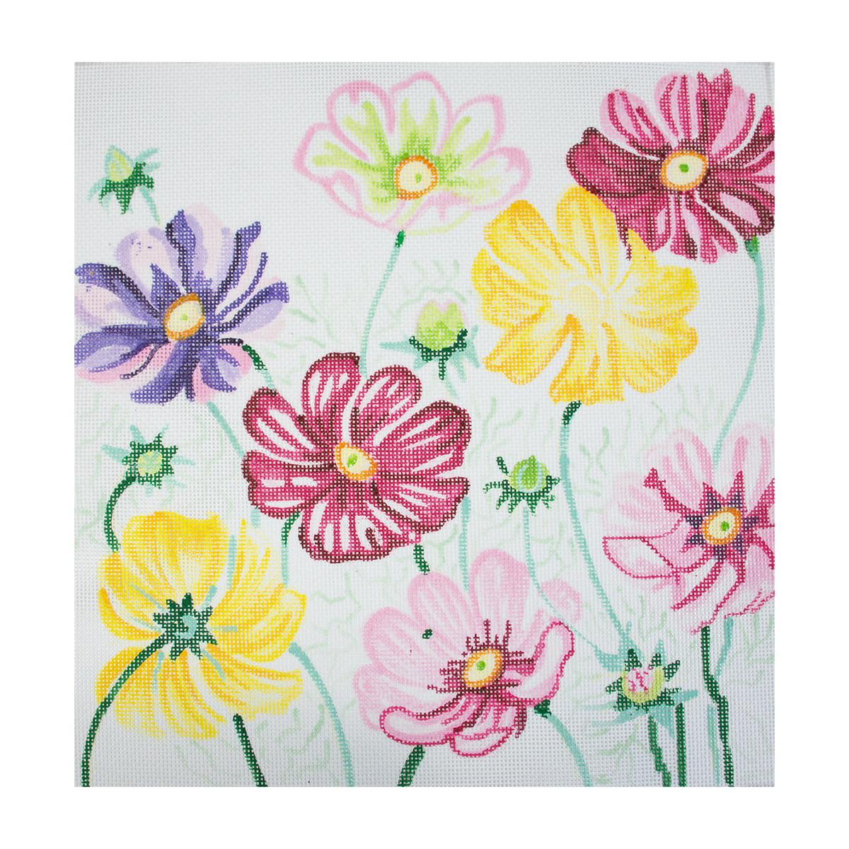 Cosmos Beauties 14" - 1
