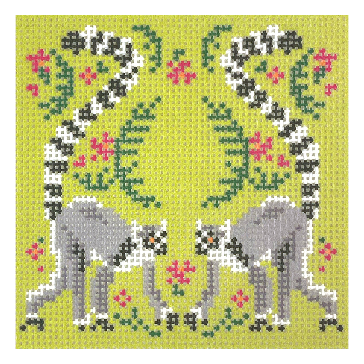 Tropical Lemur Square - 1