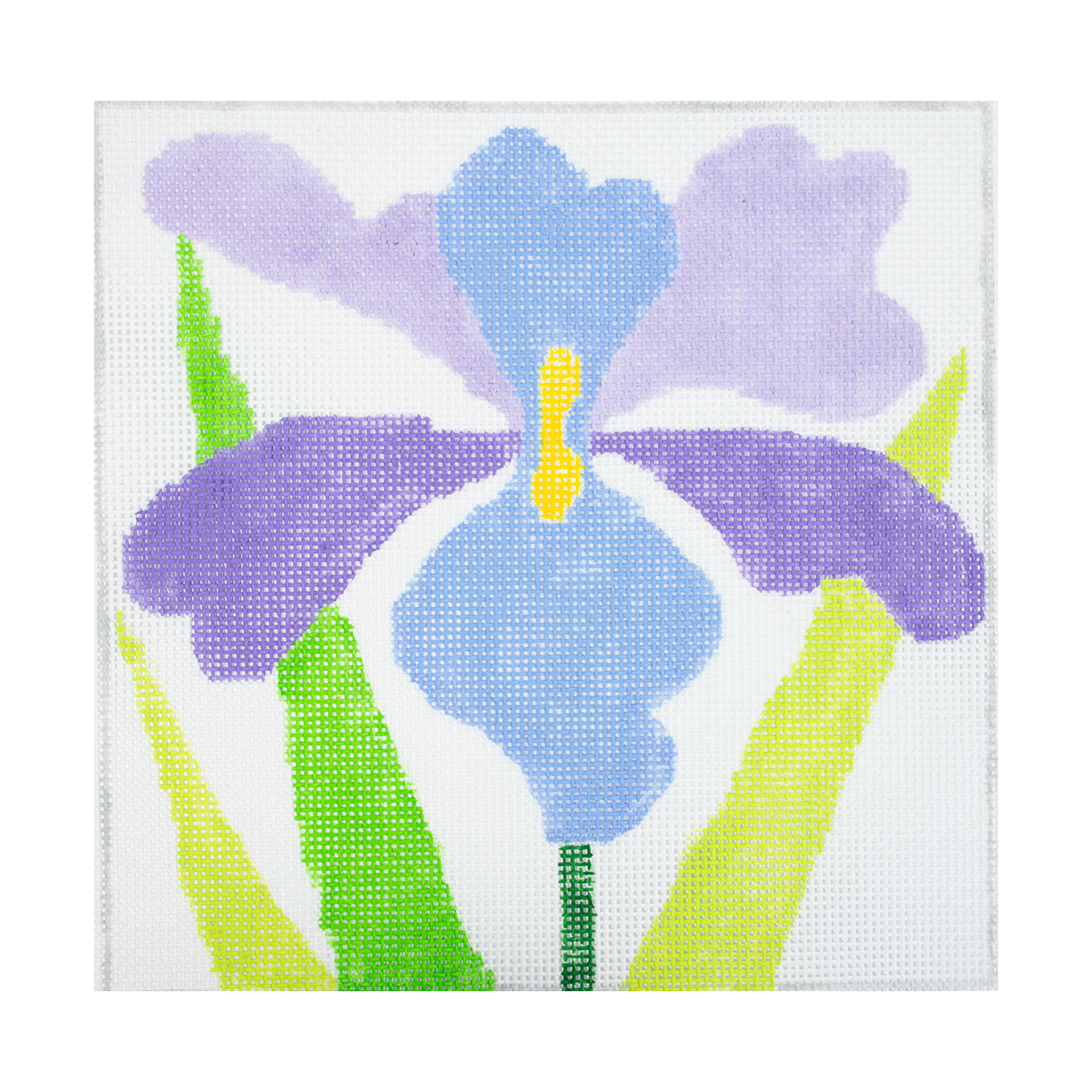 Large Simple Flowers 8" Iris - 1