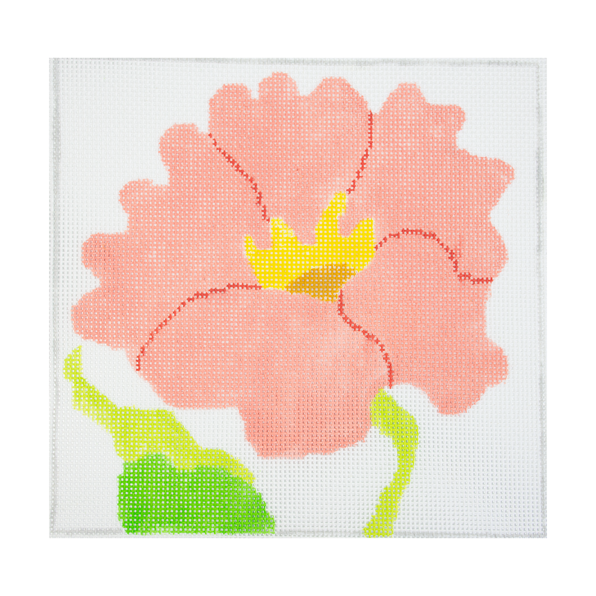 Large Simple Flowers 8" Nasturtium - 1