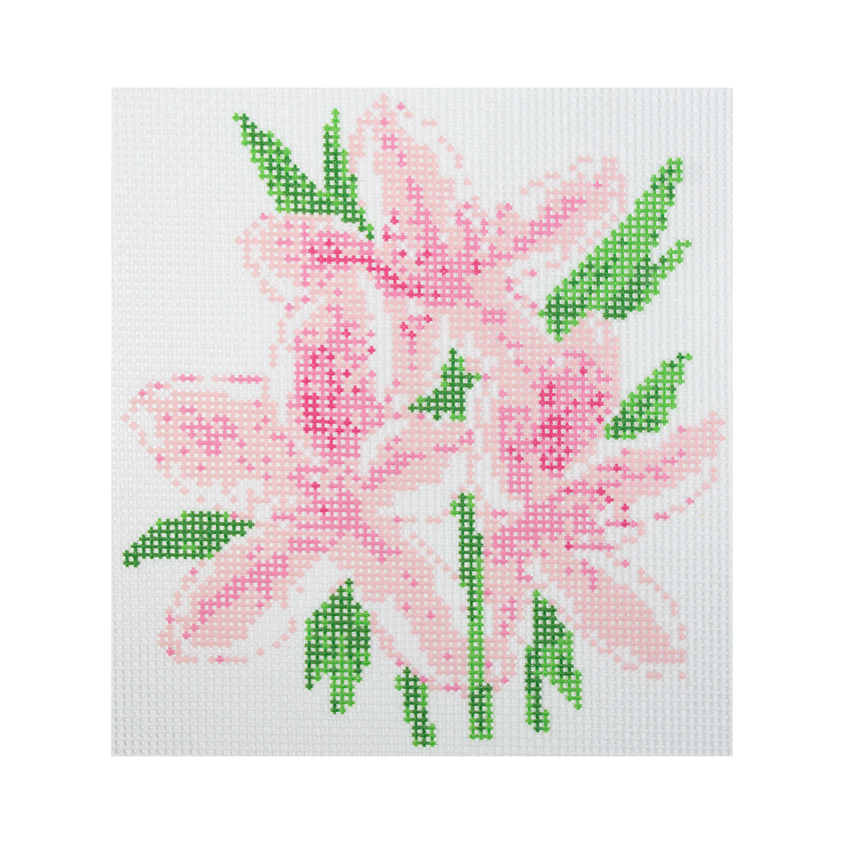 Pink Lillies - 1