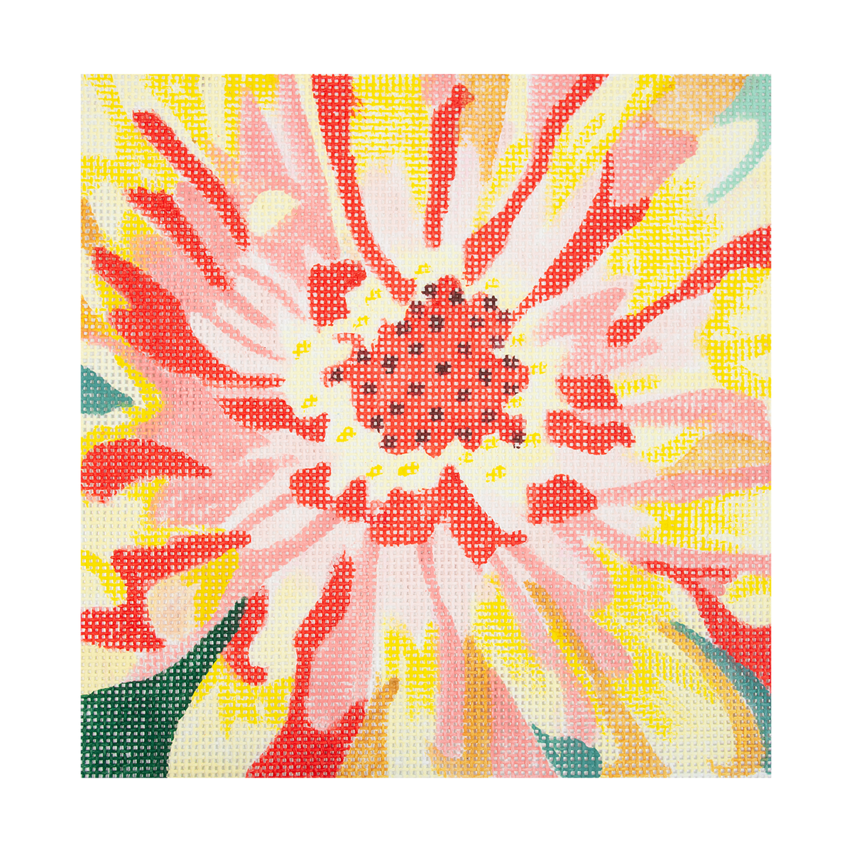 Zinnia 8" - 1