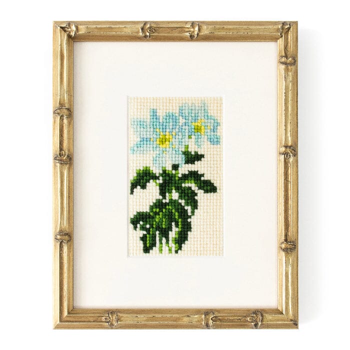 Anemone Starter Kit Kits Elizabeth Bradley Design - 1