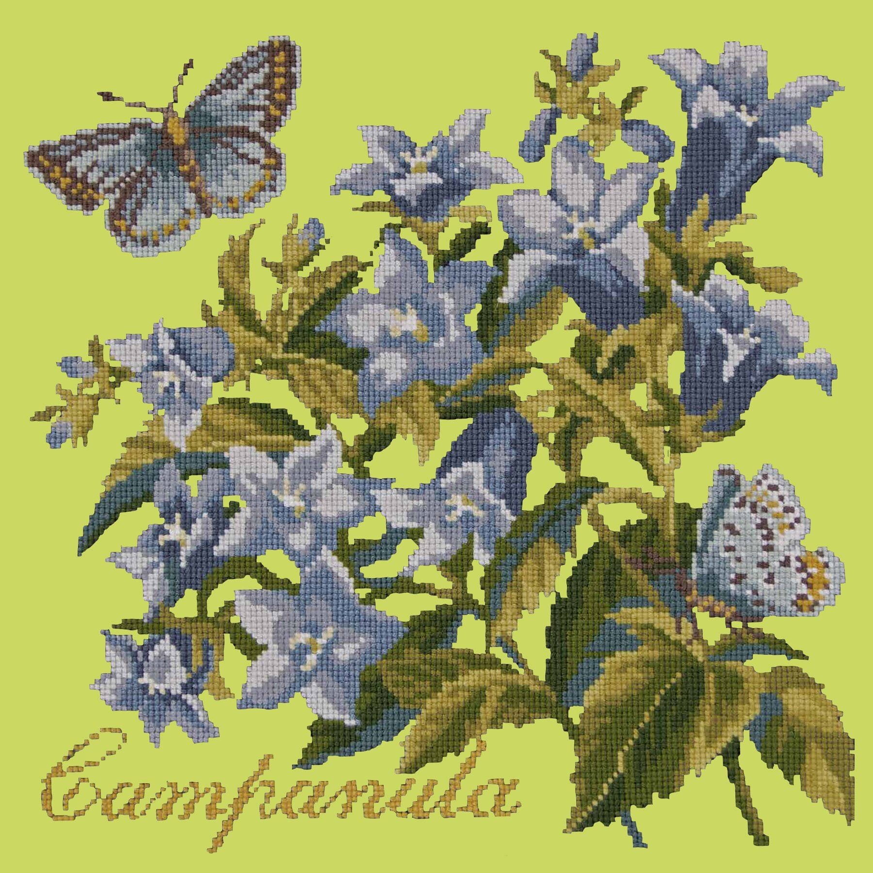 Campanula Needlepoint Kit Kits Elizabeth Bradley Design Pale Lime