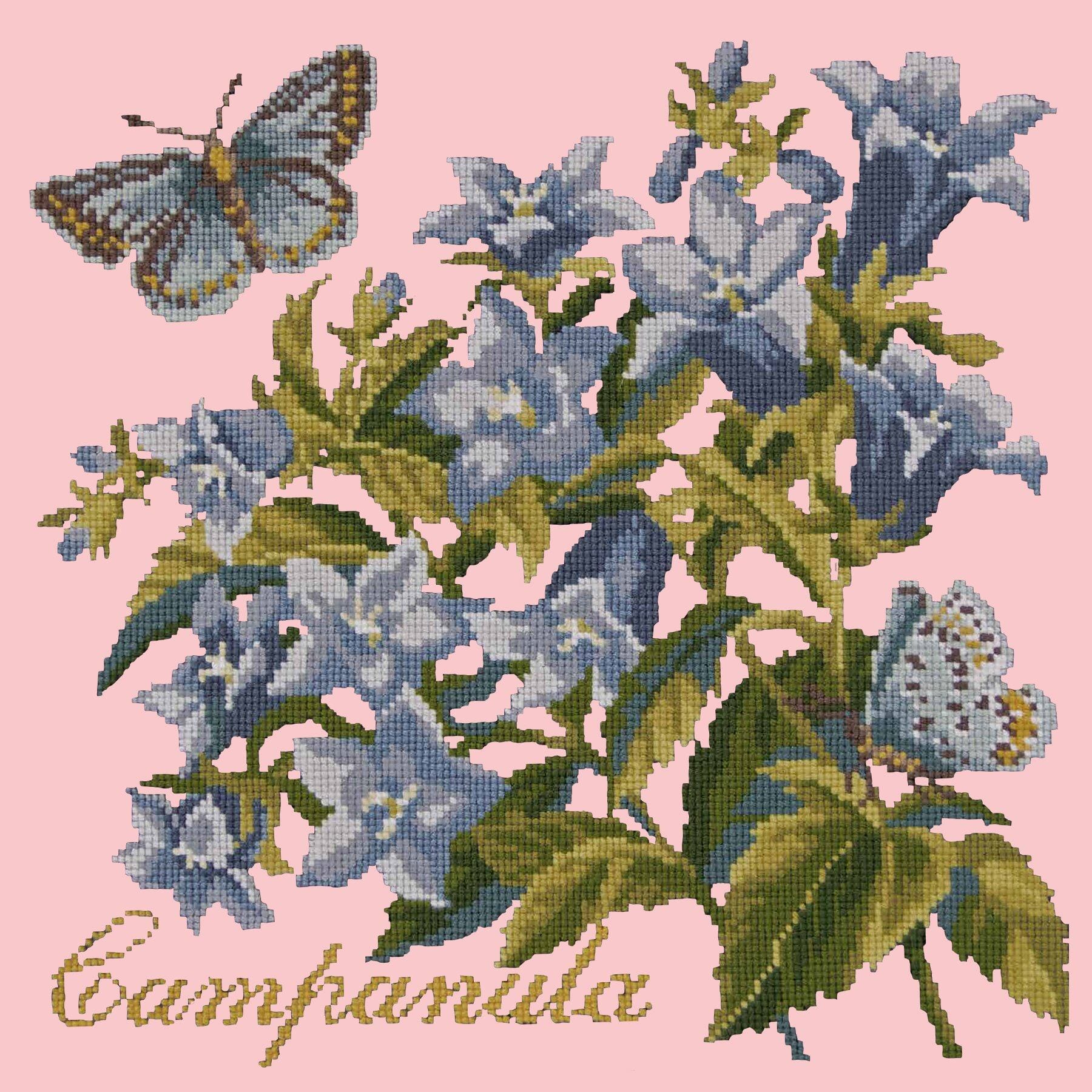 Campanula Needlepoint Kit Kits Elizabeth Bradley Design Pale Rose