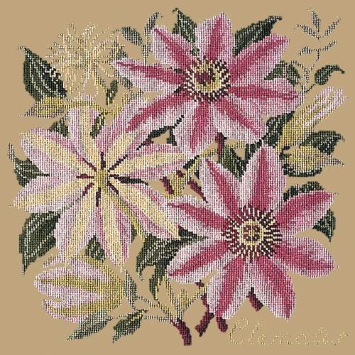 Clematis Needlepoint Kit Kits Elizabeth Bradley Design Sand