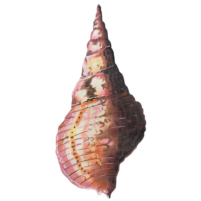 Conch Seashell Back Painted Canvas Colors of Praise - 1