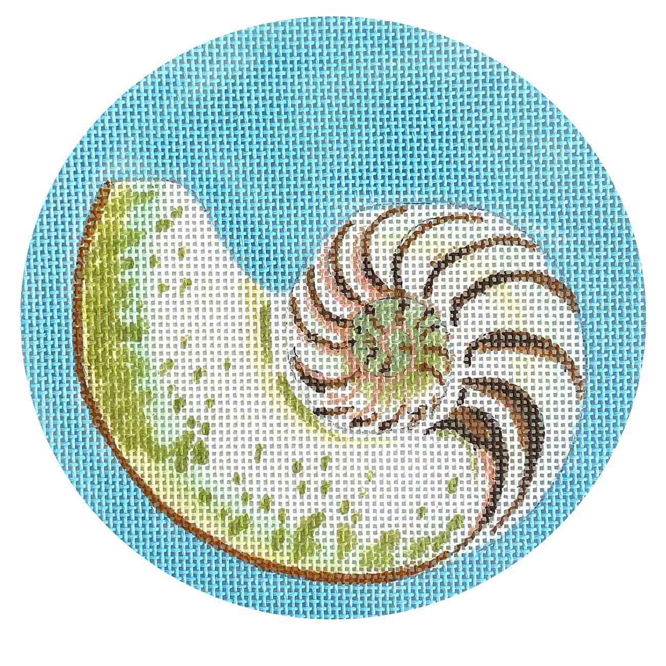 Conch Shell 5" Round Painted Canvas Colors of Praise