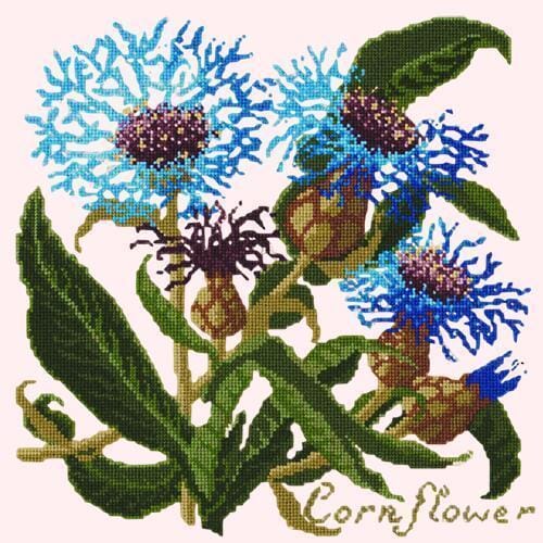 Cornflower Needlepoint Kit Kits Elizabeth Bradley Design Cream
