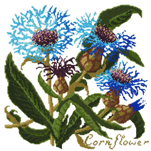 Cornflower Needlepoint Kit Kits Elizabeth Bradley Design Winter White