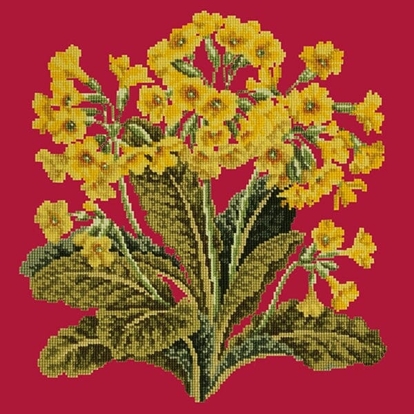 Cowslip Needlepoint Kit Kits Elizabeth Bradley Design Bright Red