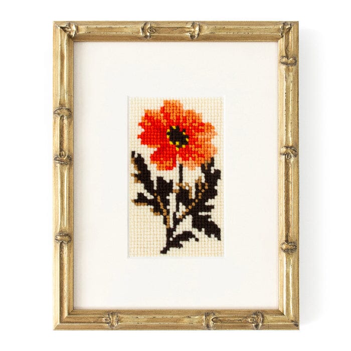 Dahlia Starter Kit Kits Elizabeth Bradley Design