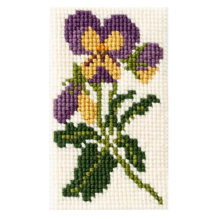Elizabeth Bradley Beginner Class Class Needlepoint.Com
