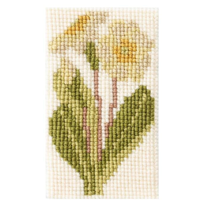 Elizabeth Bradley Beginner Class Class Needlepoint.Com