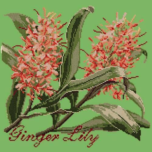 Ginger Lily Needlepoint Kit Kits Elizabeth Bradley Design Grass Green
