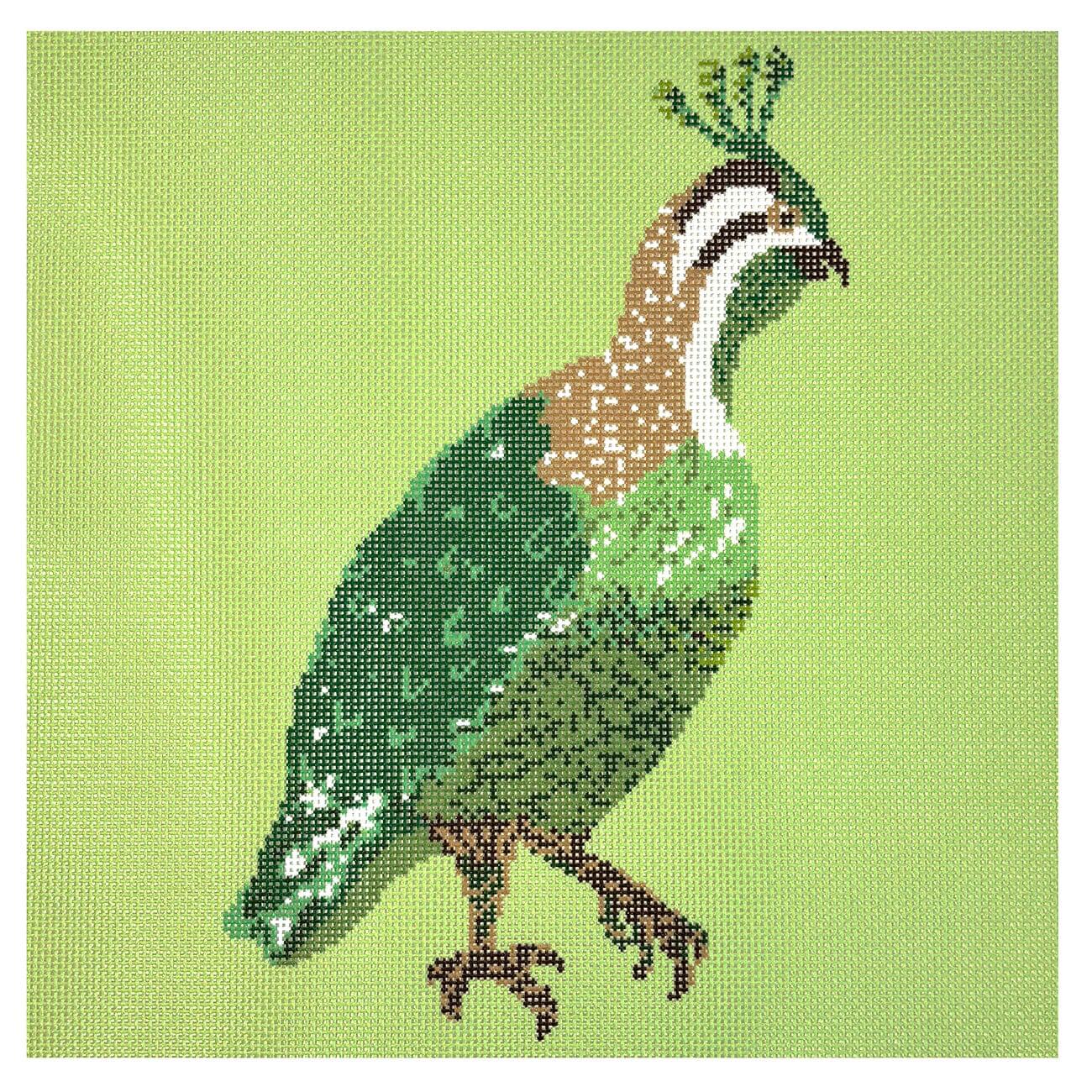 Green Quail 12x12 Printed Canvas KCN Designers - 1