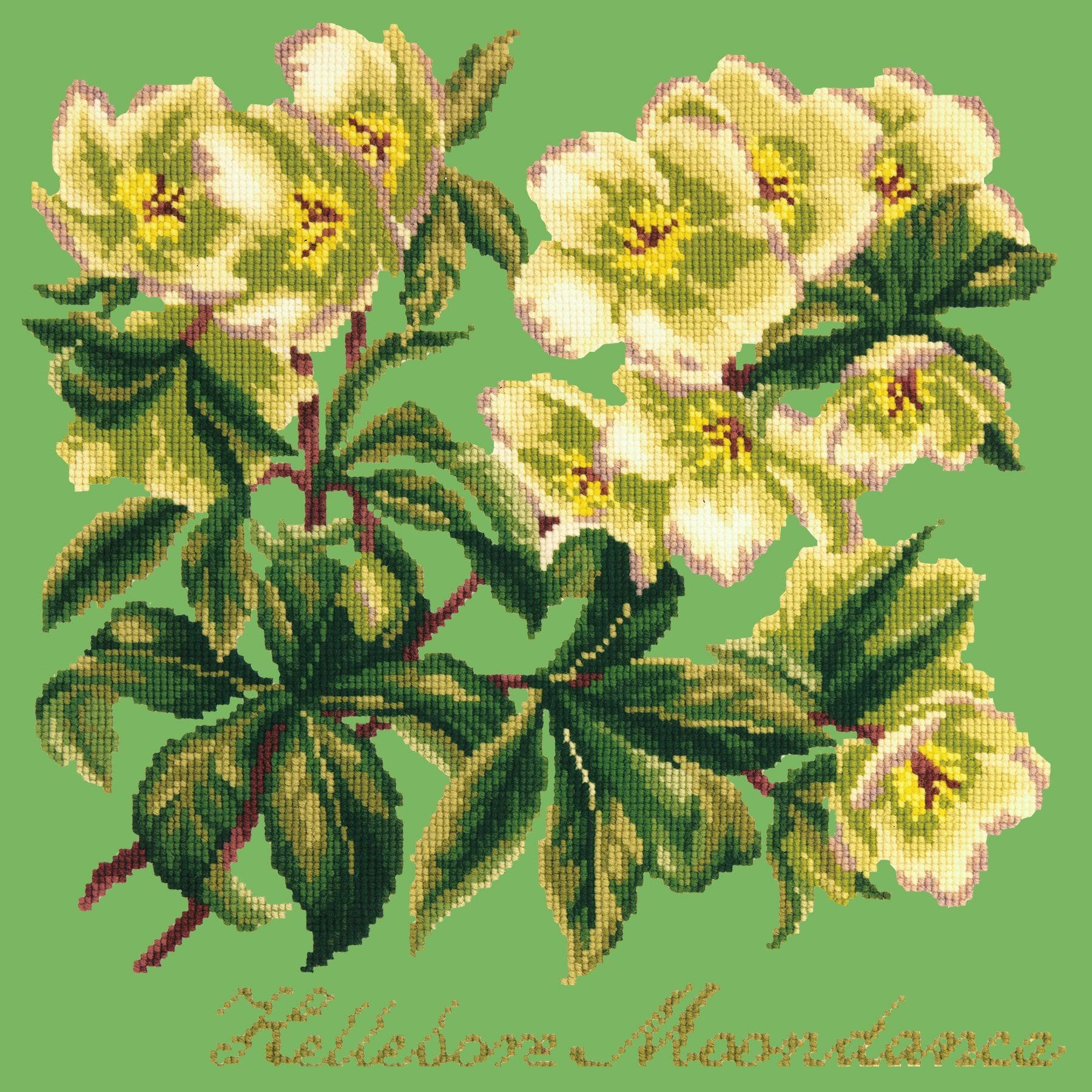 Hellebore Moondance Needlepoint Kit Kits Elizabeth Bradley Design Grass Green