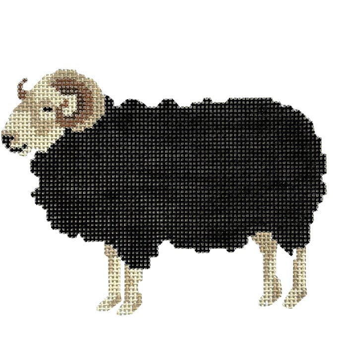 Herdwick Ram Printed Canvas PIP & Roo - 1