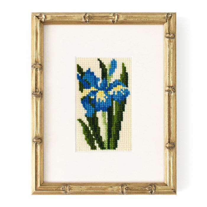 Iris Starter Kit Kits Elizabeth Bradley Design