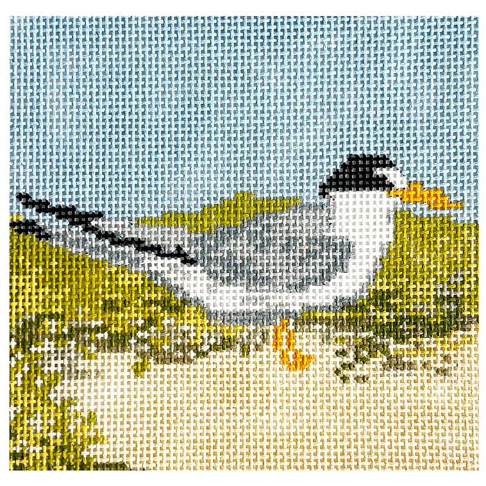 Least Tern Coaster Painted Canvas Ann Kaye Studio - 1