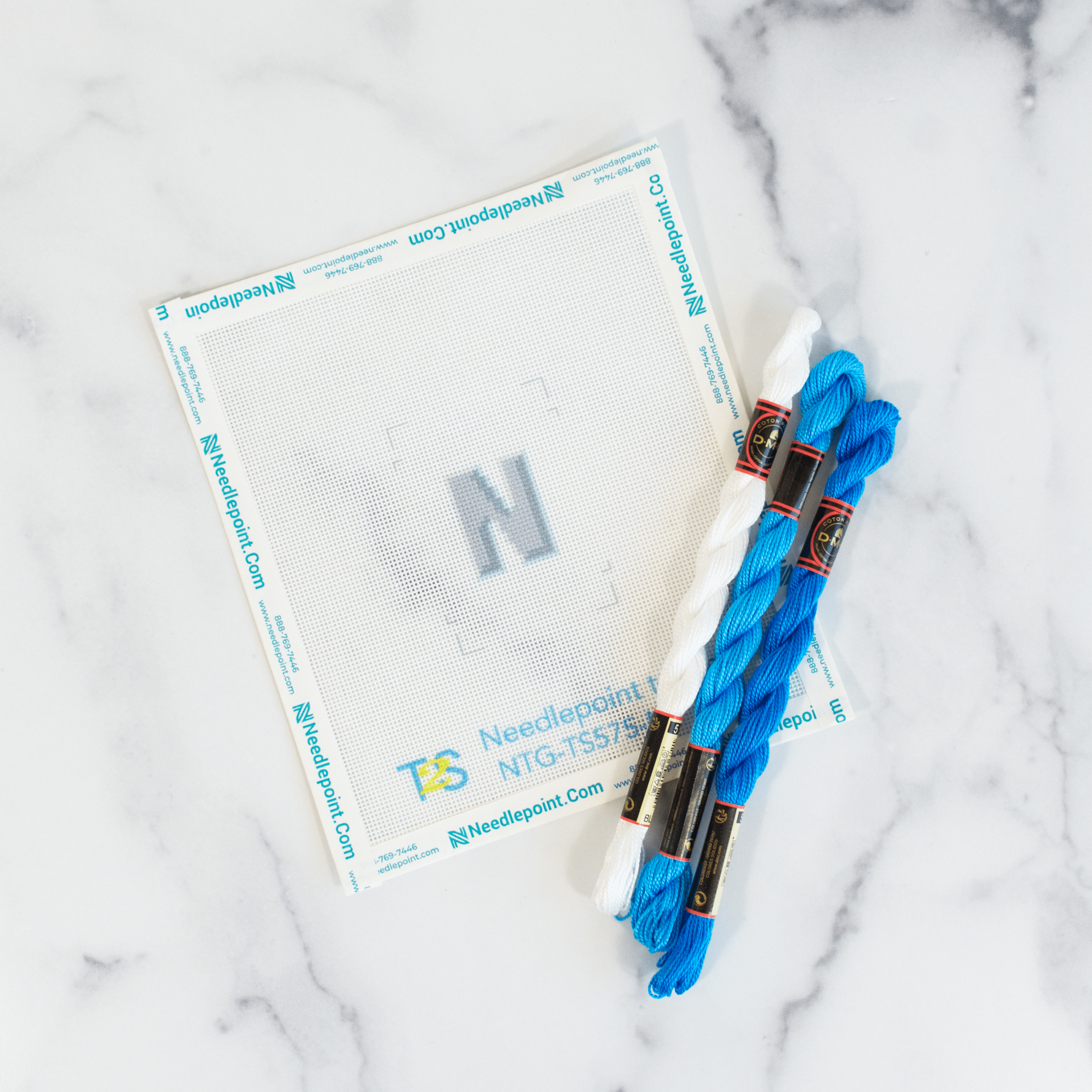 Letter Insert Printed Canvas Two Sisters Needlepoint