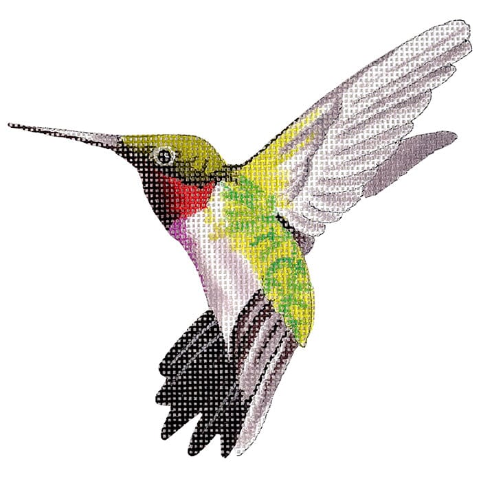 Lime Green Hummingbird Illustration Painted Canvas Colors of Praise - 1