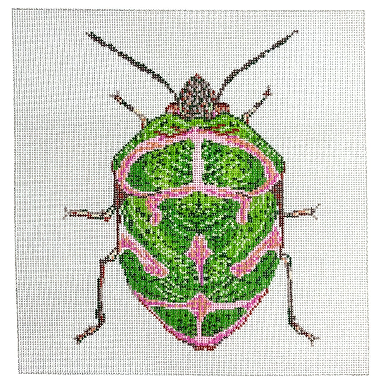 Little Bugs Green & Pink Painted Canvas The Meredith Collection - 1