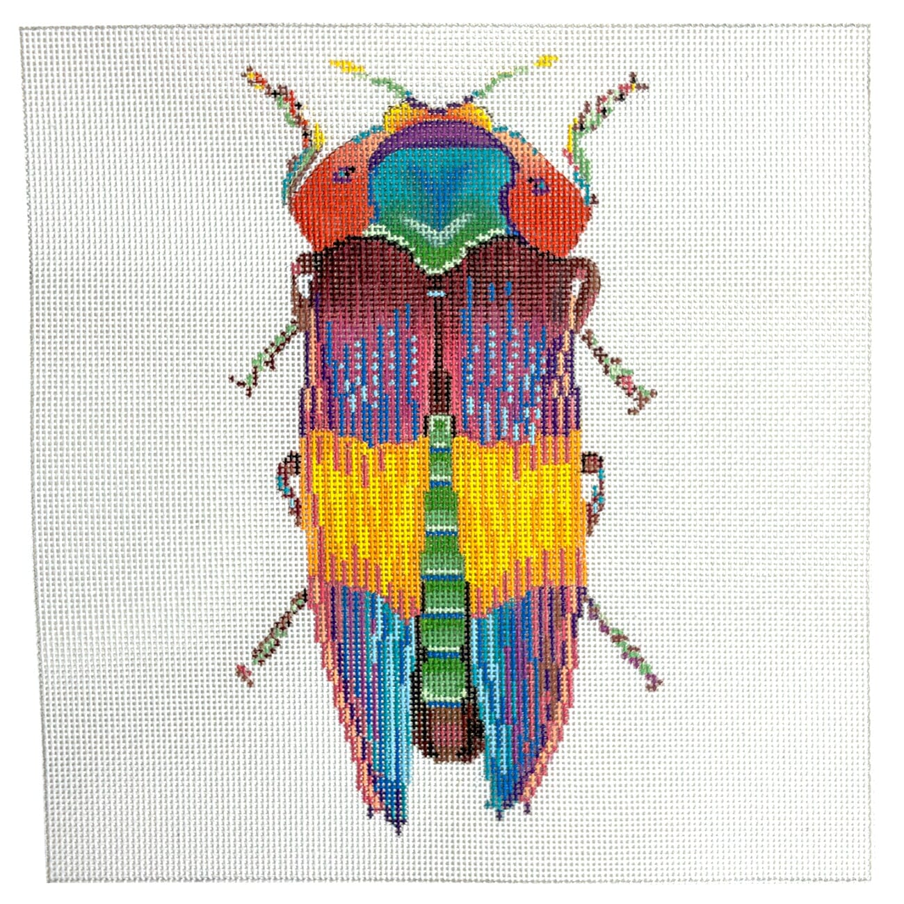 Little Bugs Rainbow Painted Canvas The Meredith Collection - 1