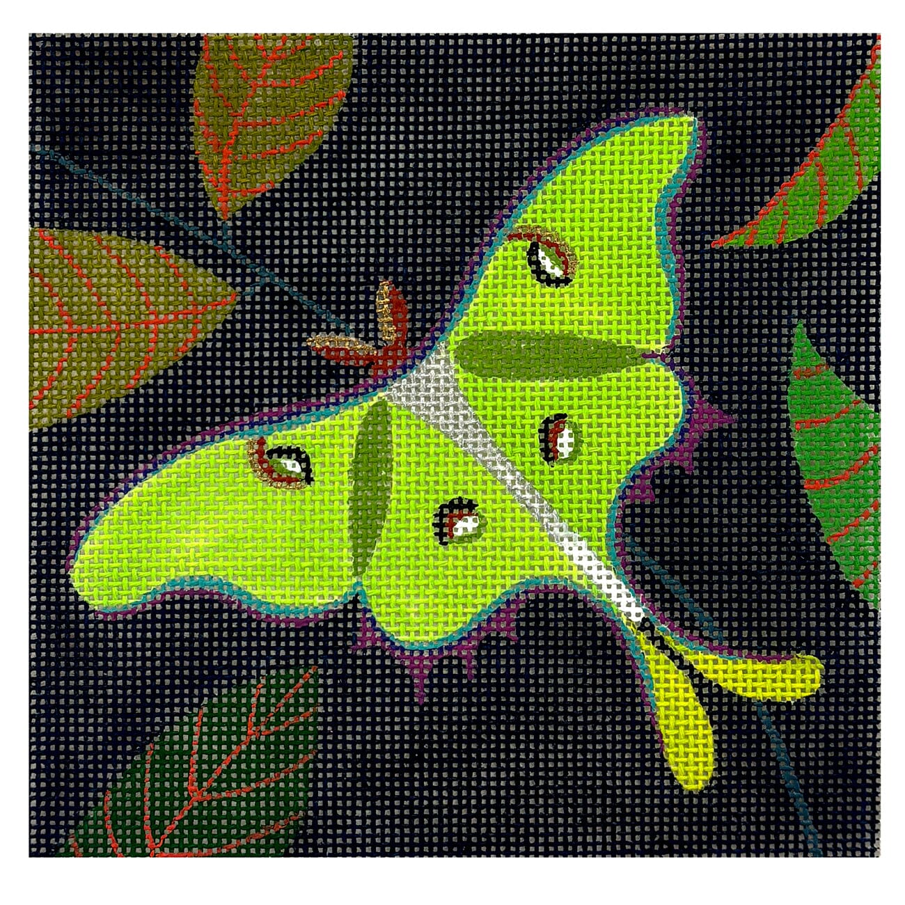 Luna Moth Square Painted Canvas Zecca - 1