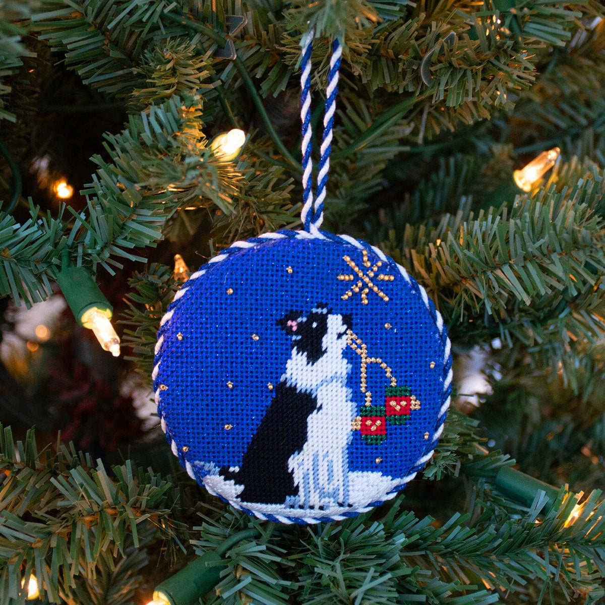 Midnight Border Collie Round with Stitch Guide Painted Canvas Kirk & Bradley - 4