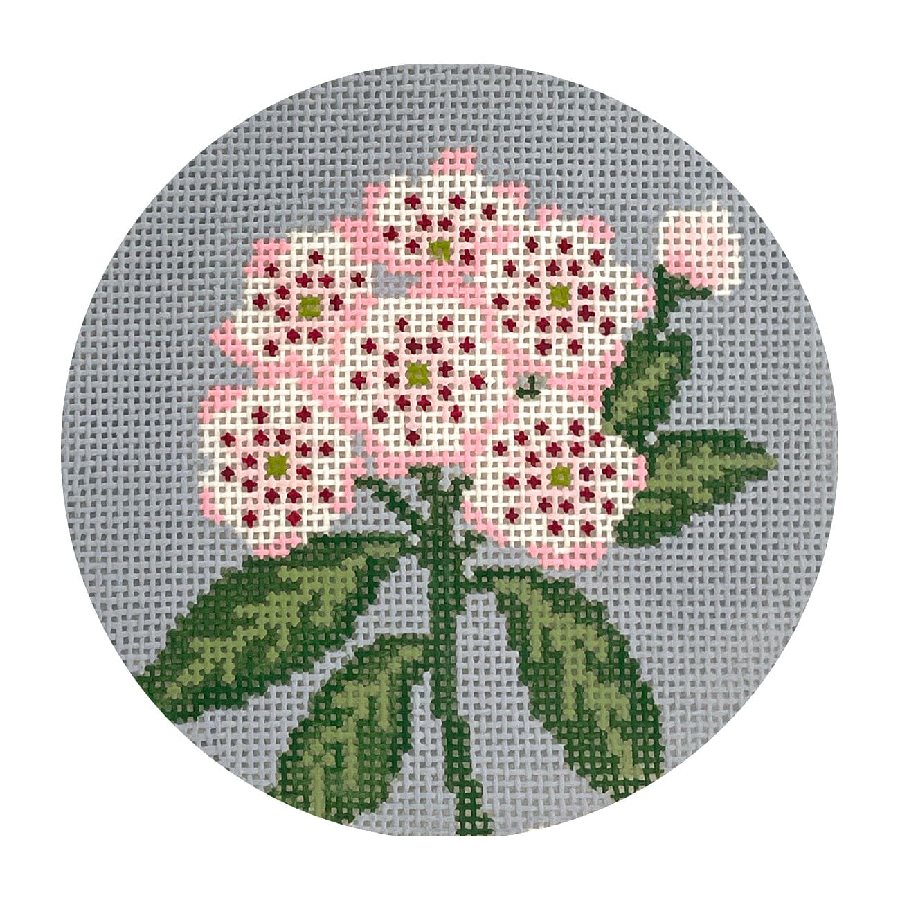 Mountain Laurel Flowers of America Round (CT, PA) Painted Canvas Lucky Lotus Needlepoint - 1