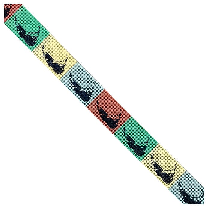Nantucket Color Block Belt Painted Canvas Chris Lewis Distributing - 1