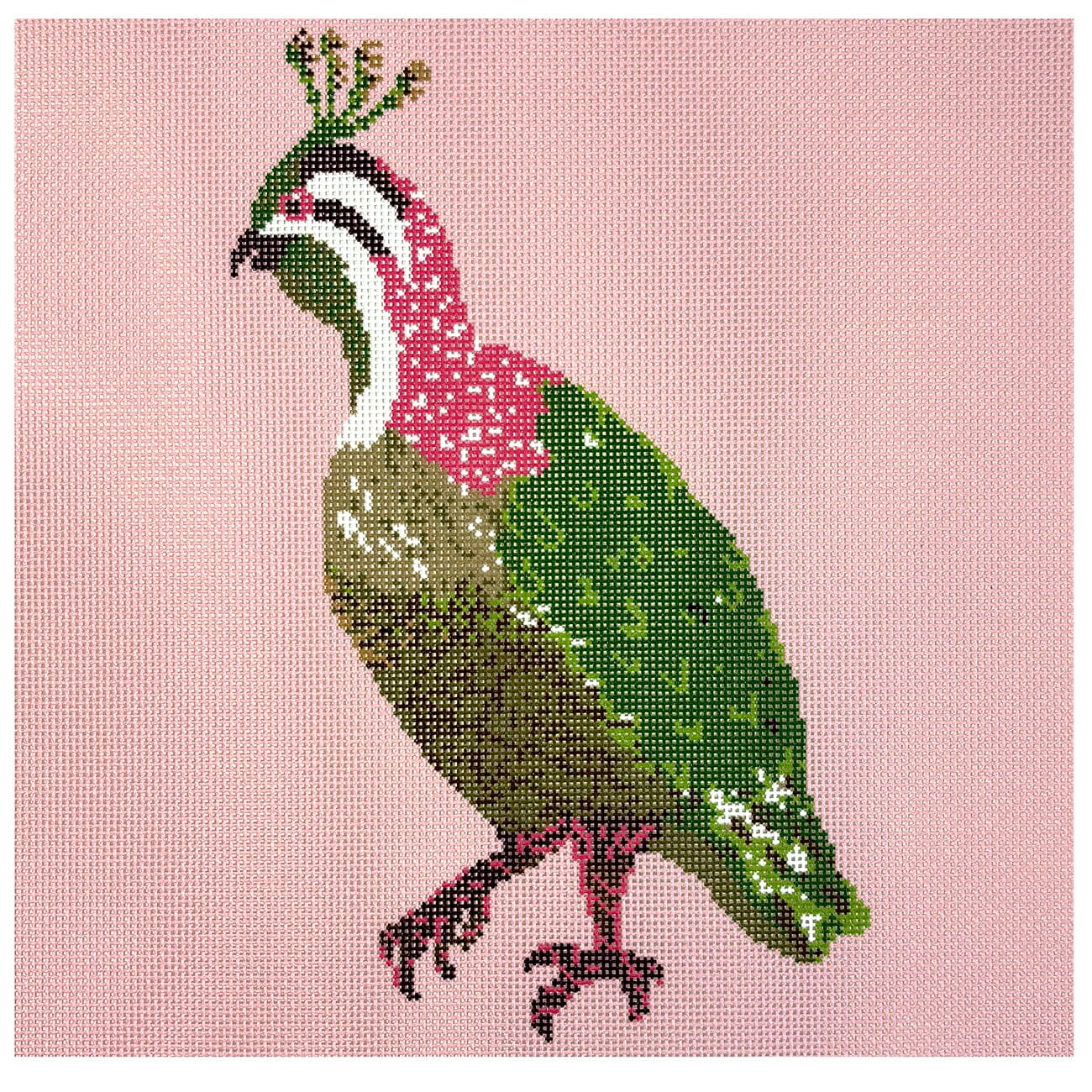Pink Quail 12x12 Printed Canvas KCN Designers - 1
