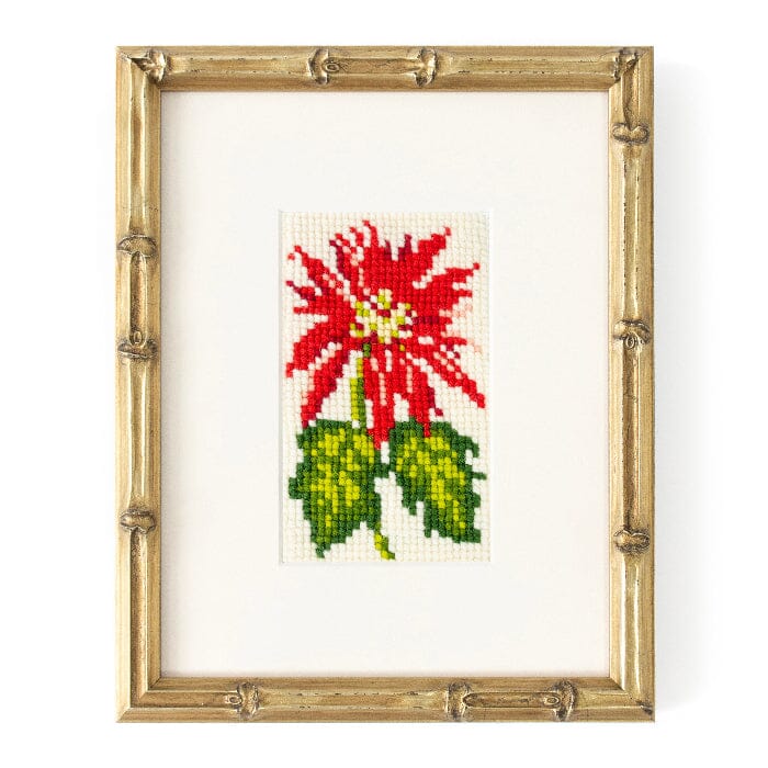 Poinsettia Starter Kit Kits Elizabeth Bradley Design - 1