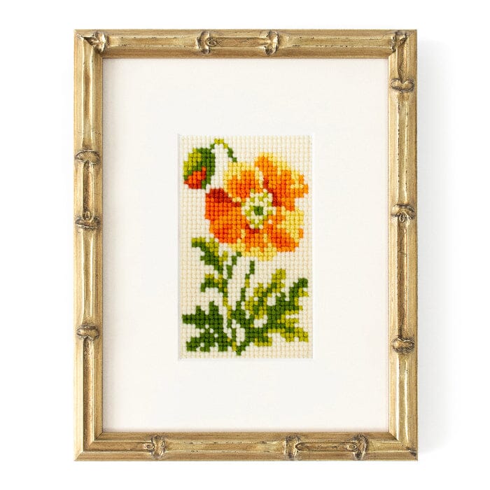 Poppy Starter Kit Kits Elizabeth Bradley Design