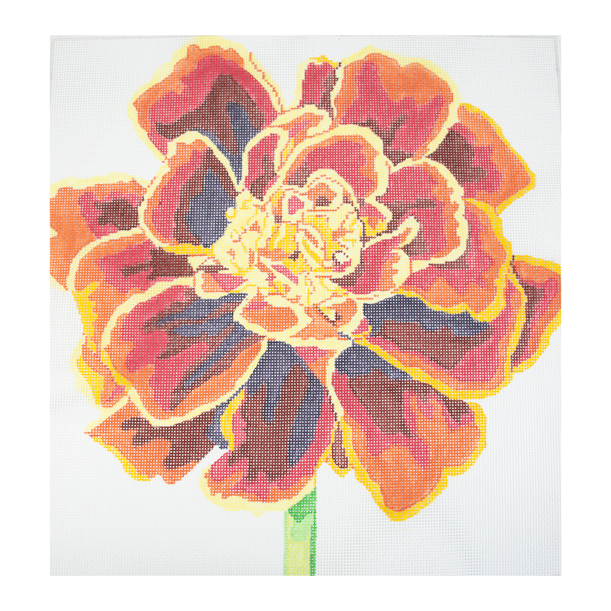 Regal Mahogany Marigold - 1