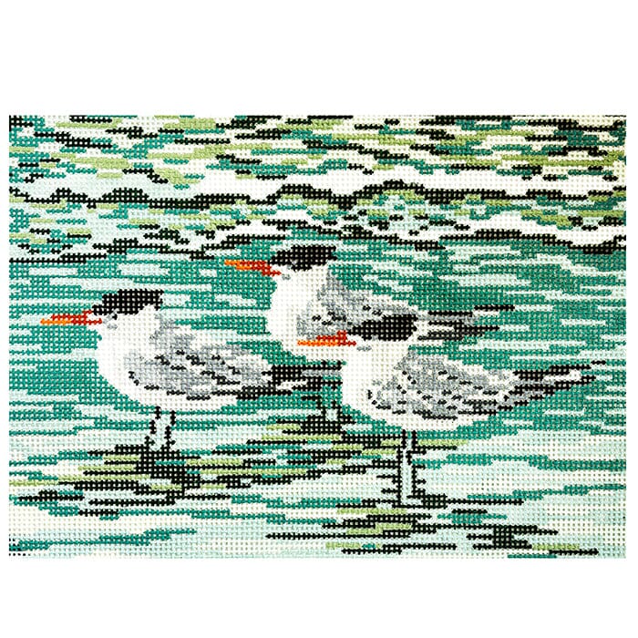 Royal Terns on 13 Painted Canvas Needle Crossings - 1
