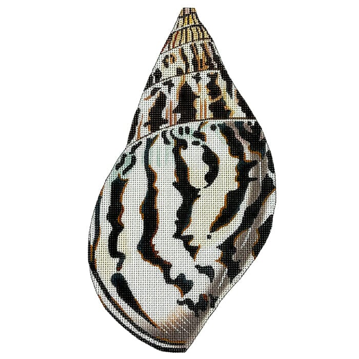 Striped Seashell - Back Painted Canvas Colors of Praise
