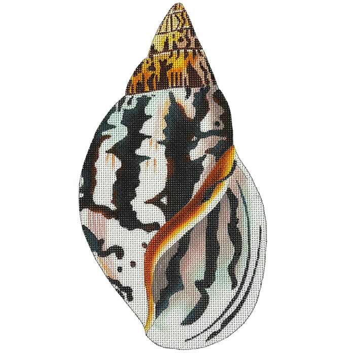 Striped Seashell - Front Painted Canvas Colors of Praise