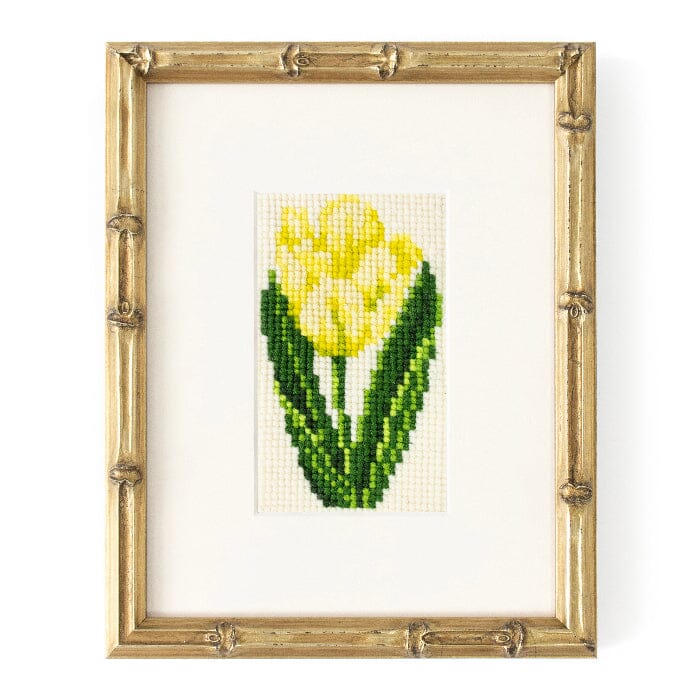 Tulip Starter Kit Kits Elizabeth Bradley Design