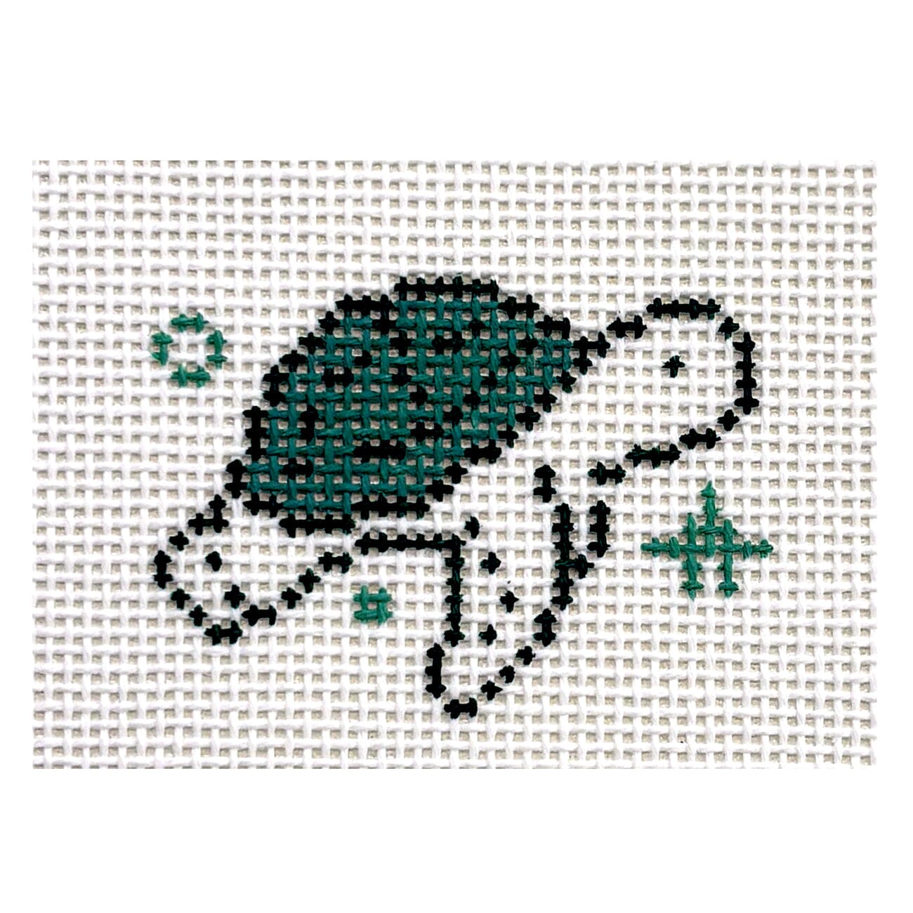 Turtle Painted Canvas Arden Gray Co. - 1