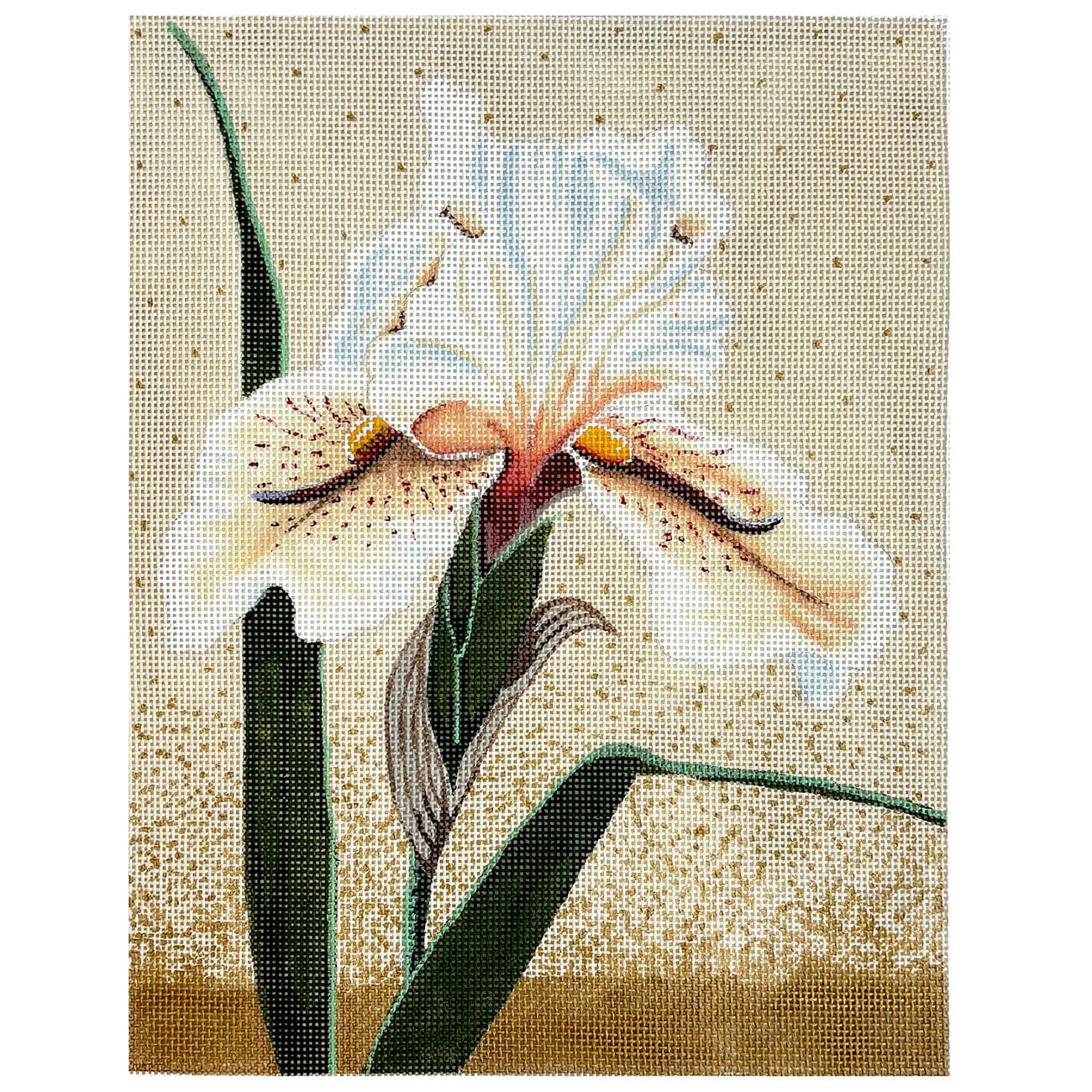 White Iris Bloom Painted Canvas Shorebird Studio - 1