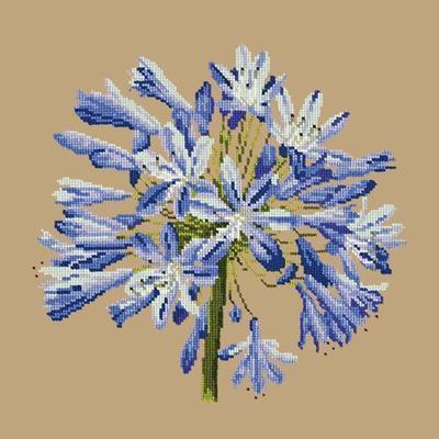 Agapanthus Needlepoint Kit Kits Elizabeth Bradley Design Sand 