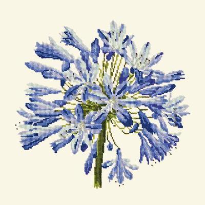 Agapanthus Needlepoint Kit Kits Elizabeth Bradley Design Winter White 