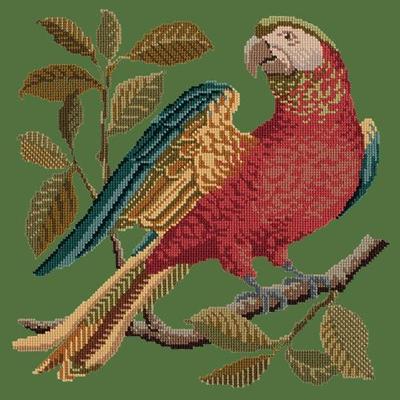 Alister the Parrot Needlepoint Kit Kits Elizabeth Bradley Design Dark Green