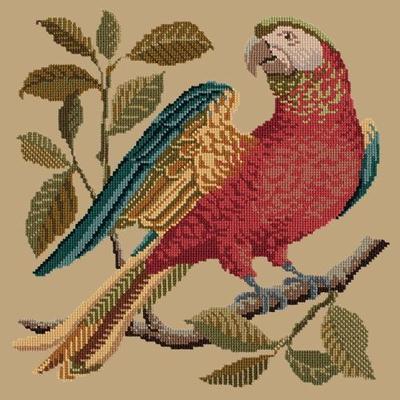 Alister the Parrot Needlepoint Kit Kits Elizabeth Bradley Design Sand