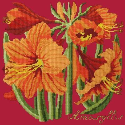 Amaryllis Needlepoint Kit Kits Elizabeth Bradley Design Bright Red 