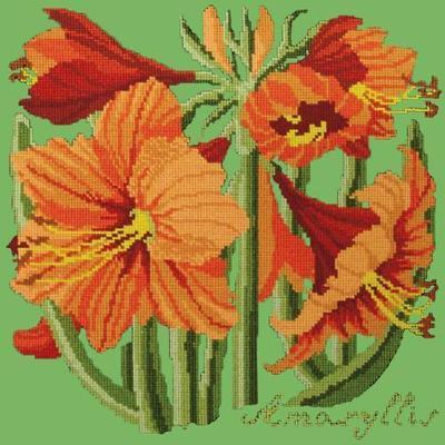 Amaryllis Needlepoint Kit Kits Elizabeth Bradley Design Grass Green 